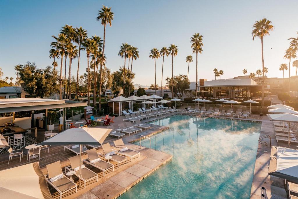 Pool and palm trees at Andaz Scottsdale Resort & Bungalows